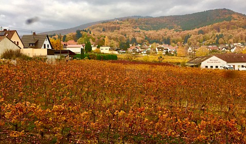 Die schöne umgebende Herbstlandschaft hat zum Erfolg mit beigetragen