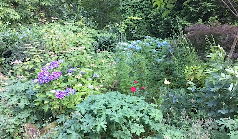 Hochsommerliches Gartenidyll